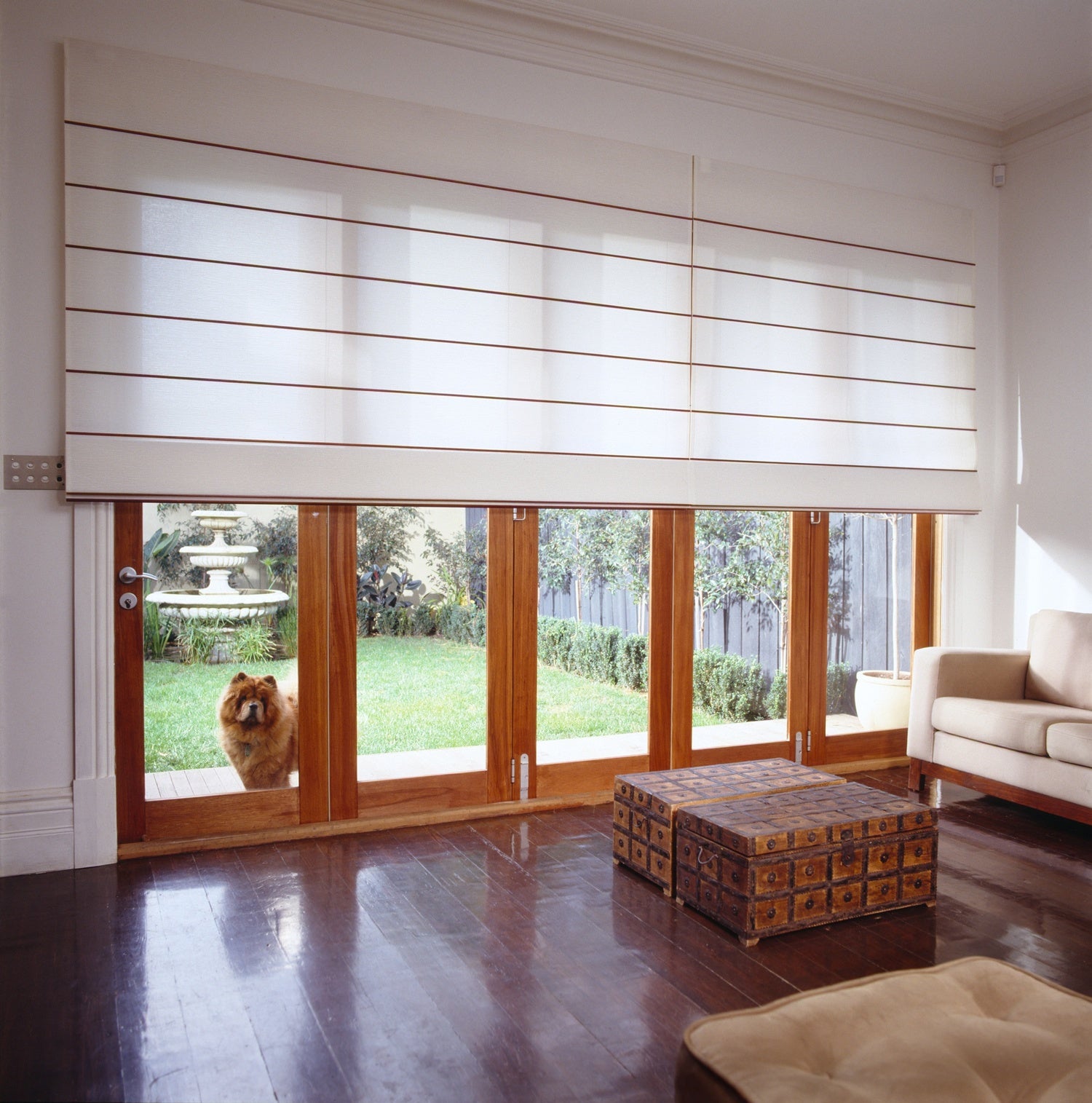 A dog peeping through the glass of timber bifold doors set behind custom curtains & blinds by Design Curtains.